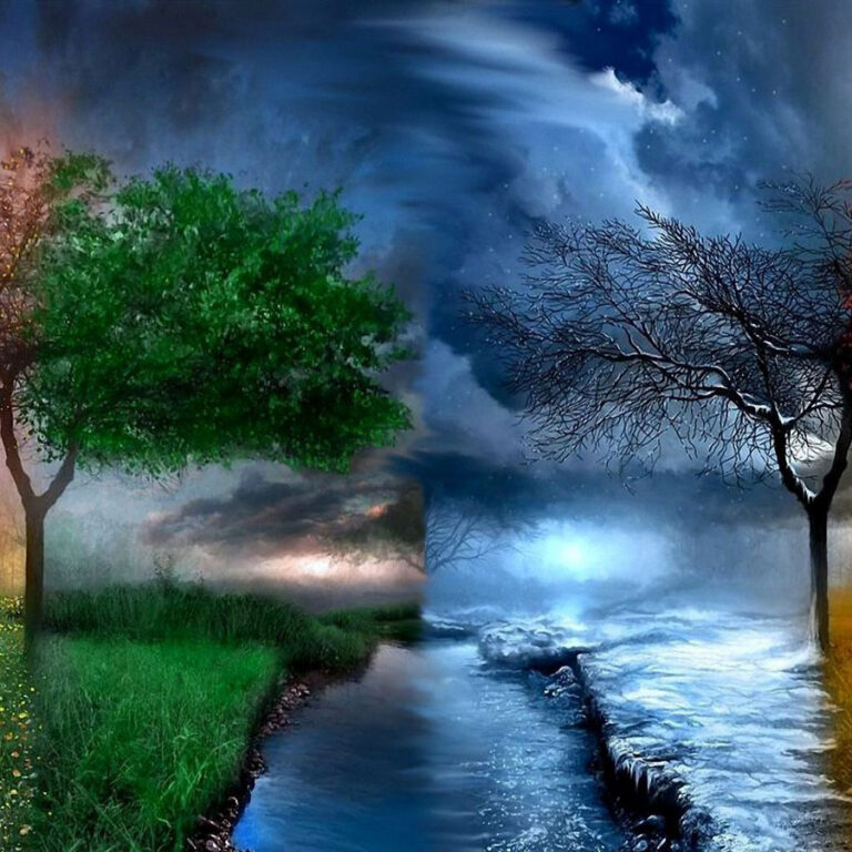 seasons changing in one photo